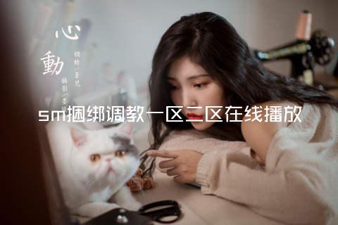 sm捆绑调教一区二区在线播放